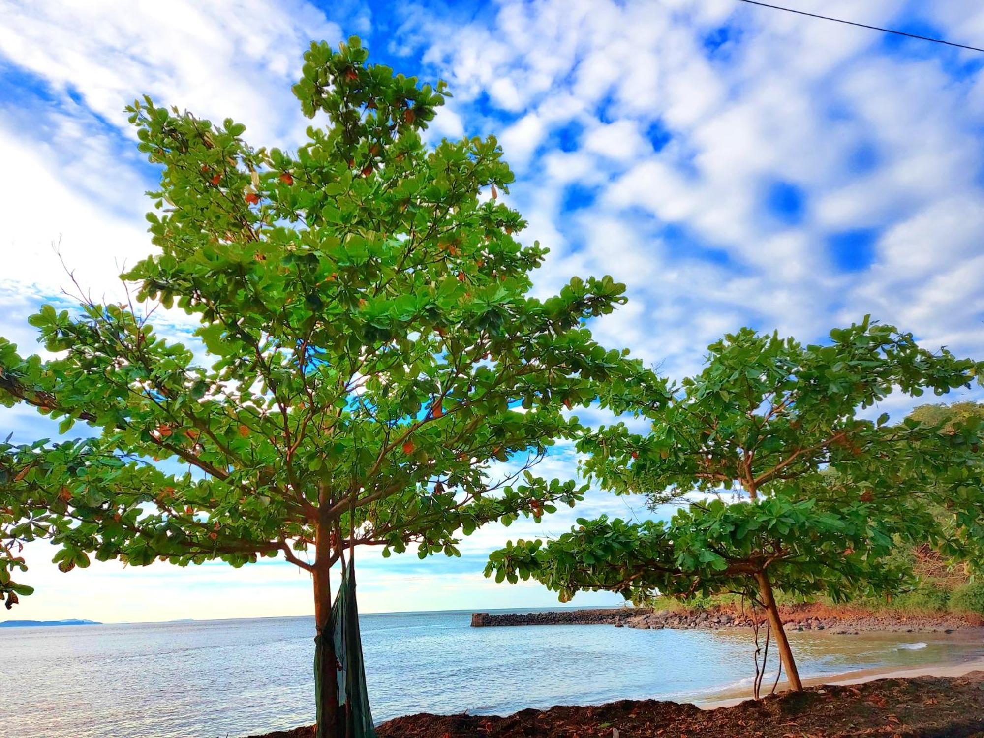 גוקרנה Navni Beach View Stay מראה חיצוני תמונה